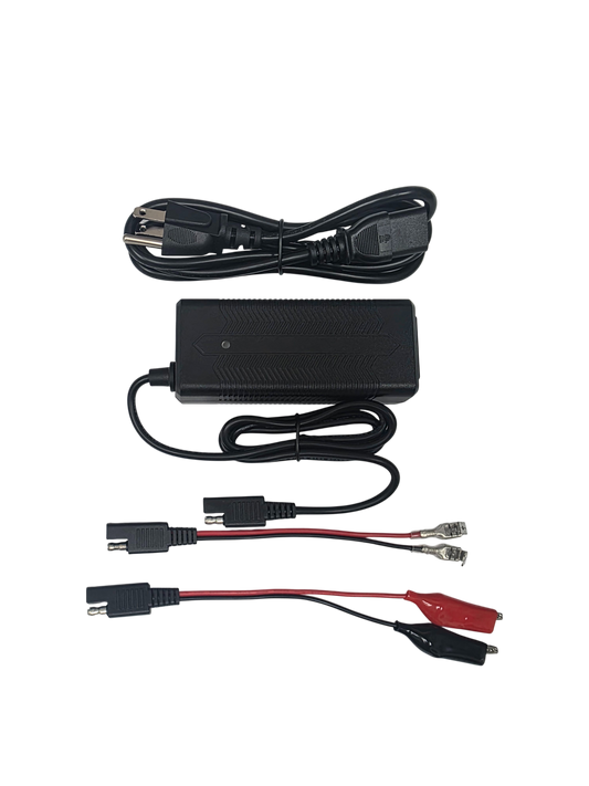 LiFePO4 Lithium Battery  3A Charger